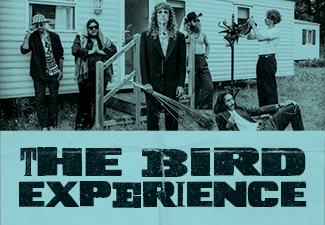 The Bird Experience